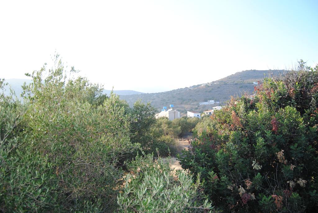 Sailors Apartments Elounda Zewnętrze zdjęcie